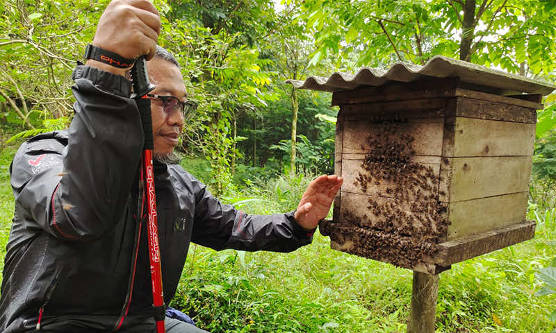 Saung lebah madu paseban