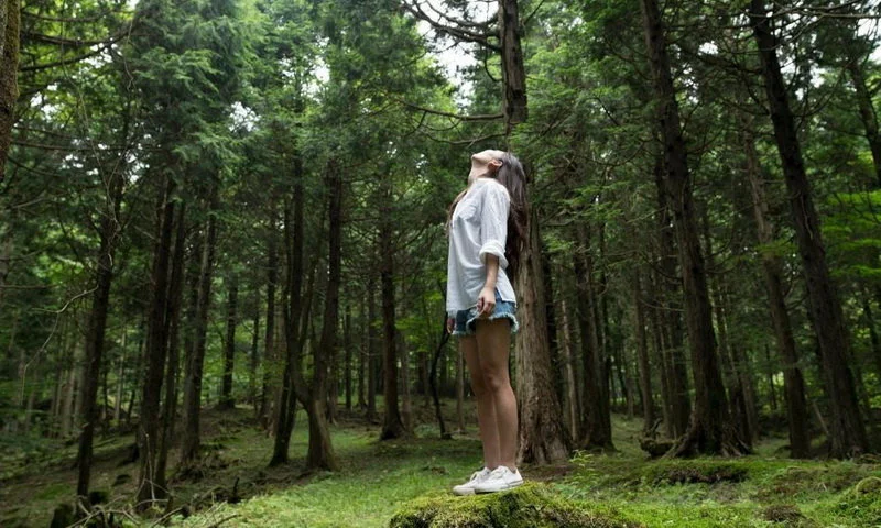 healing forest di puncak paseban