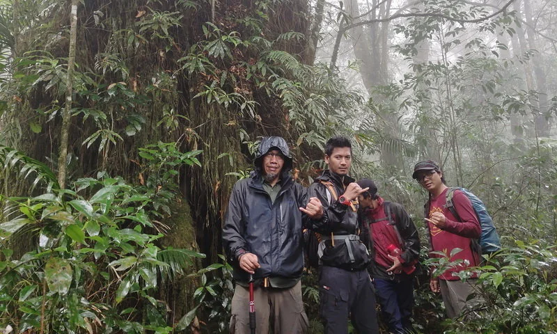 paseban trekking puncak